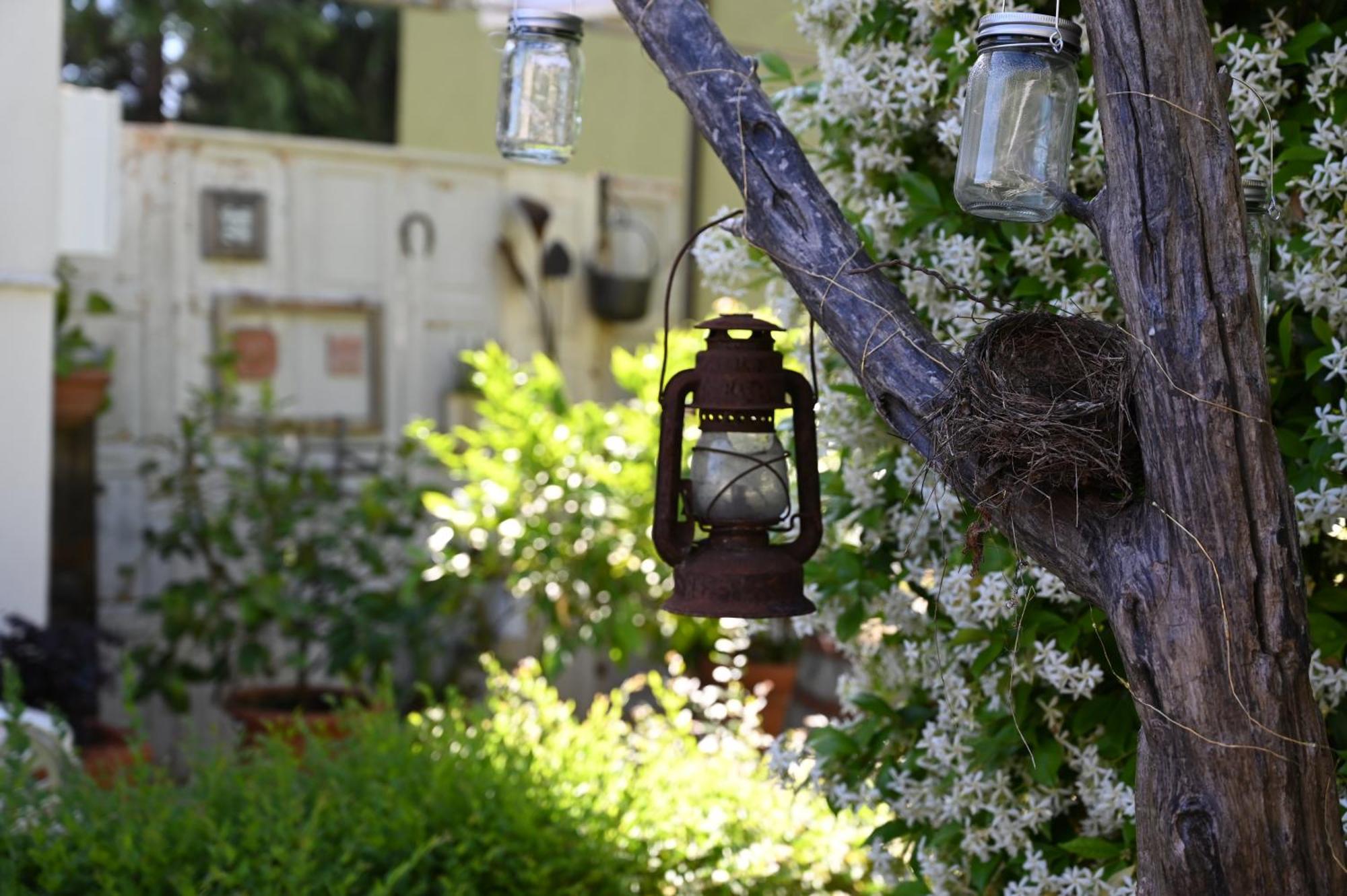 Bed and Breakfast La Garampa Cesena Exterior foto